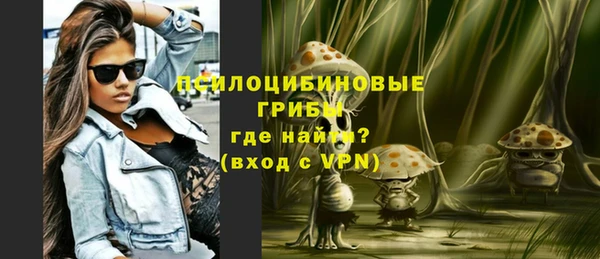 СК Абаза