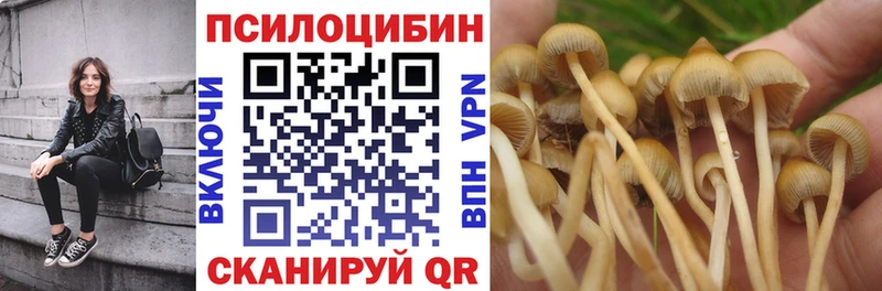 Псилоцибиновые грибы Cubensis  Щучье 